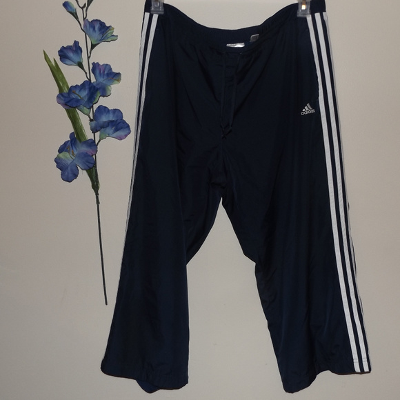 adidas swoosh pants